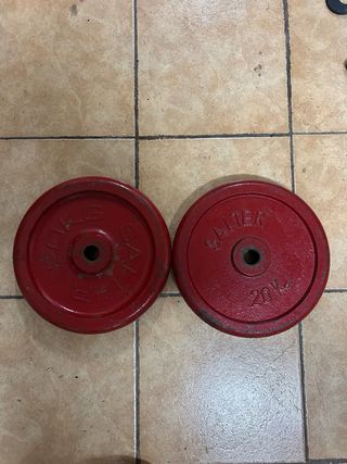 Pareja discos Salter 20kg