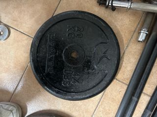 Pareja discos Salter 20kg