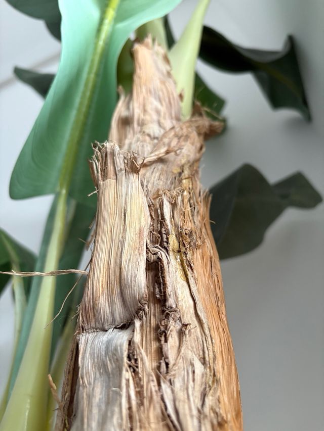 Platanero artificial de alta calidad