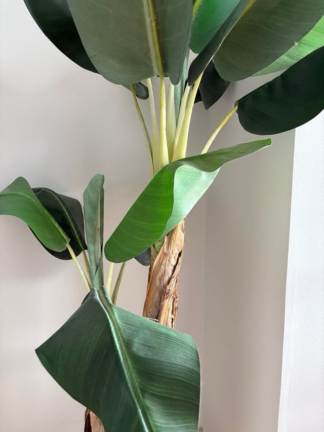 Platanero artificial de alta calidad