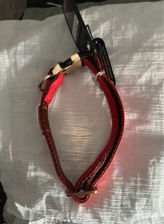 Collare Zolux per cane rosso e oro