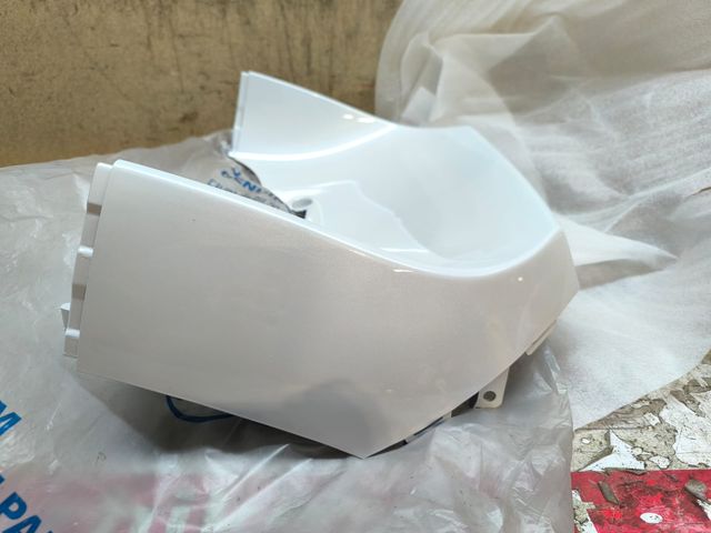 CARENADO FRONTAL INTERIOR NUEVO DAELIM S2