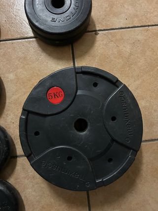 Discos de Pesas Gimnasio con Protector suelo.