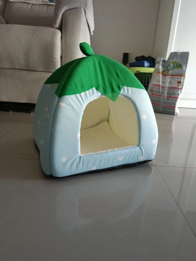Casita Fresa Azul para Mascotas