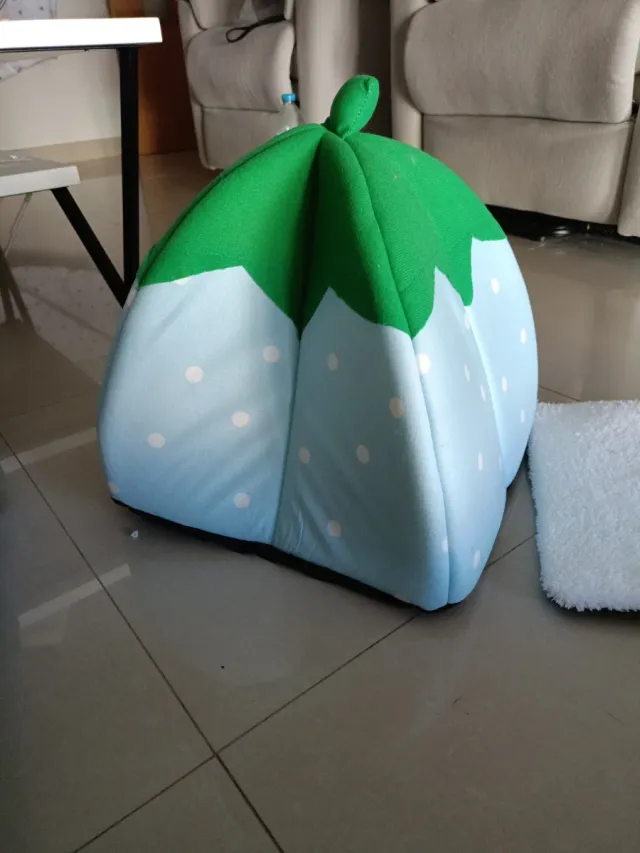 Casita Fresa Azul para Mascotas