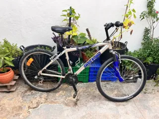 Bicicleta Globe Trotter