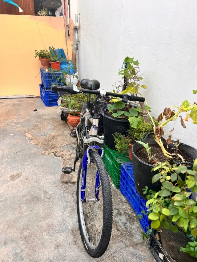 Bicicleta Globe Trotter