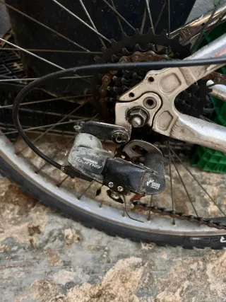 Bicicleta Globe Trotter