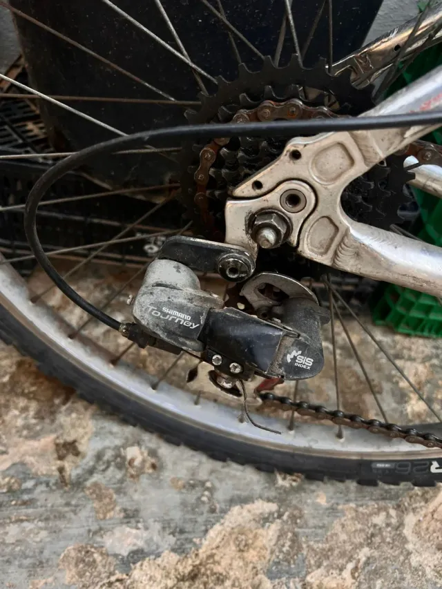 Bicicleta Globe Trotter