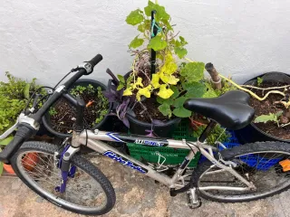 Bicicleta Globe Trotter