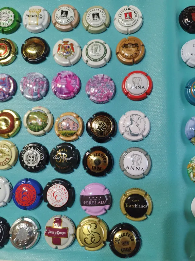 Lotto numero 14. 84 bottiglie di spumante