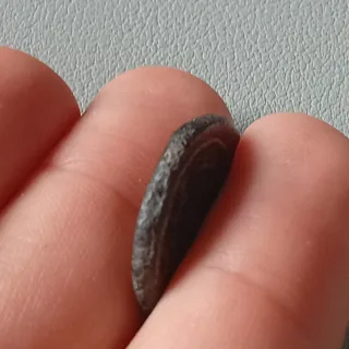 ≡ Espectacular moneda capricornio Septimio Severo