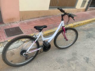 Bicicleta niña 10-14 años