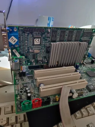 Voodoo 3 3000 AGP 3DFX Tarjeta Gráfica