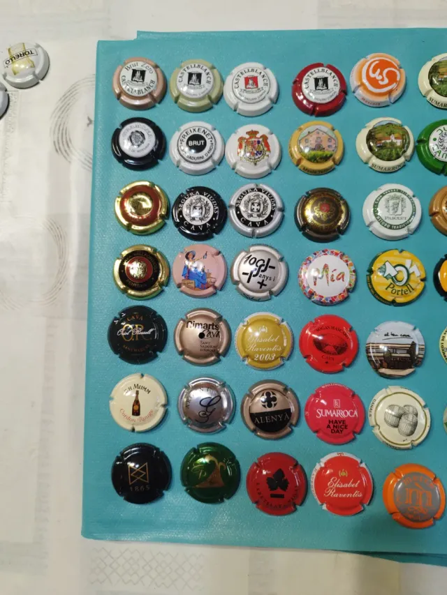 Lotto numero 15. 84 placche di spumante Collezione