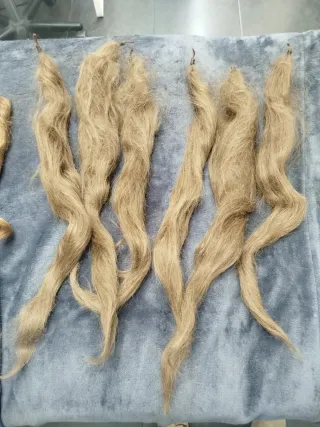 Mallas pelo fallera rubias