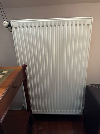 Caldera Saunier Duval Gas y Radiadores