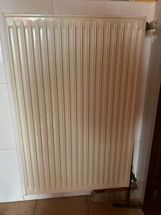 Caldera Saunier Duval Gas y Radiadores