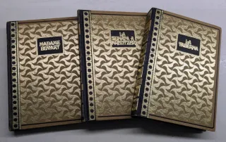 Libros de viejo:La taberna-Madame Bovary-Kreutzer