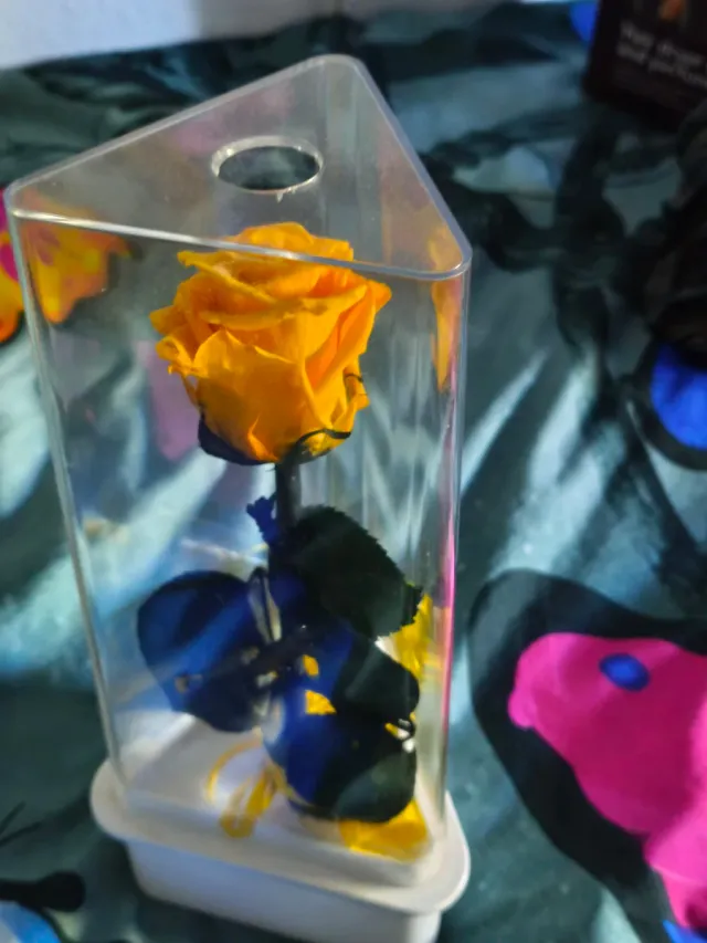 Rosa Eterna Amarilla en Exhibidor