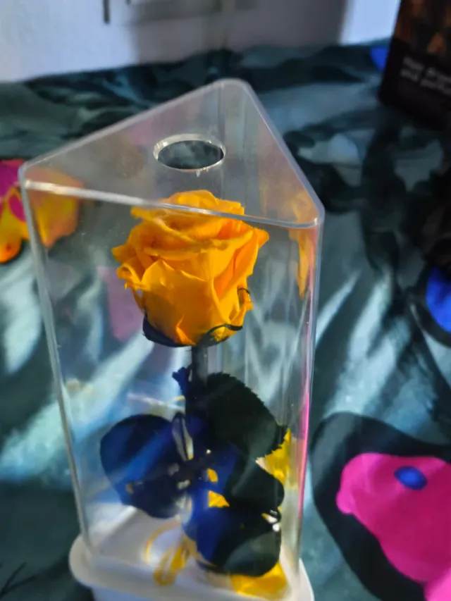 Rosa Eterna Amarilla en Exhibidor