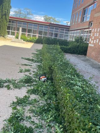 mudanzas y portes y trabajo Jardines