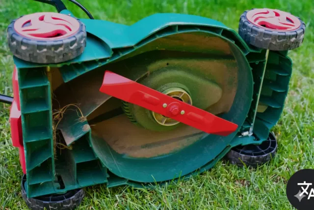 Cuchilla recambio cortacésped 55cm aprox.