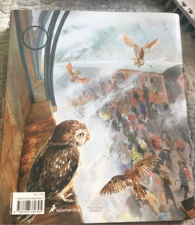 Harry Potter y la piedra filosofal libro