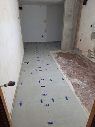 Alicatados y Pintura MJ