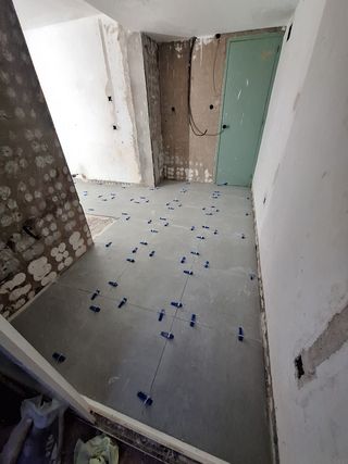 Alicatados y Pintura MJ