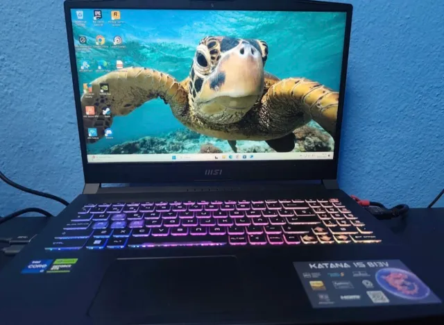 MSI Katana 15 B13V 64GB RAM