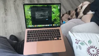 MacBook Air M1 2337 256 GB 8 ram