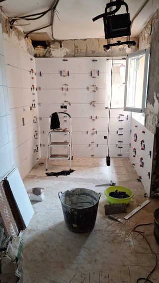 Alicatados y Pintura MJ