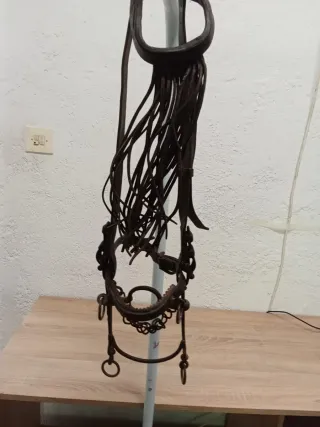 Cabezada con bocado y serreta