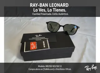 Gafas Ray-Ban Leonard Negras