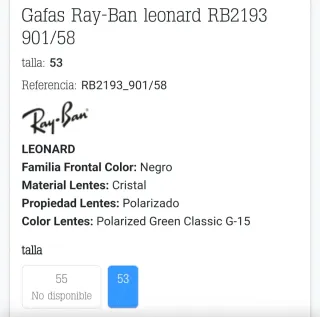Gafas Ray-Ban Leonard Negras