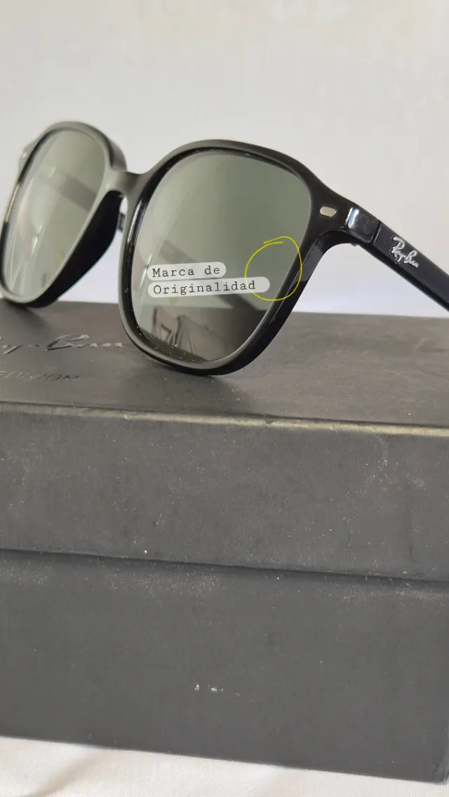 Gafas Ray-Ban Leonard Negras