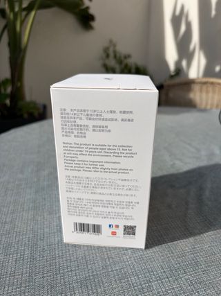 Labubu Big Into Energy