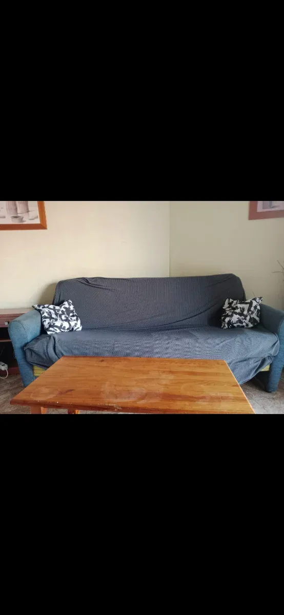 Sofá Cama Gris Tela y Madera