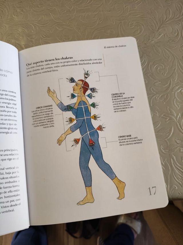 Reiki para principiantes: Aprende el arte de tr...