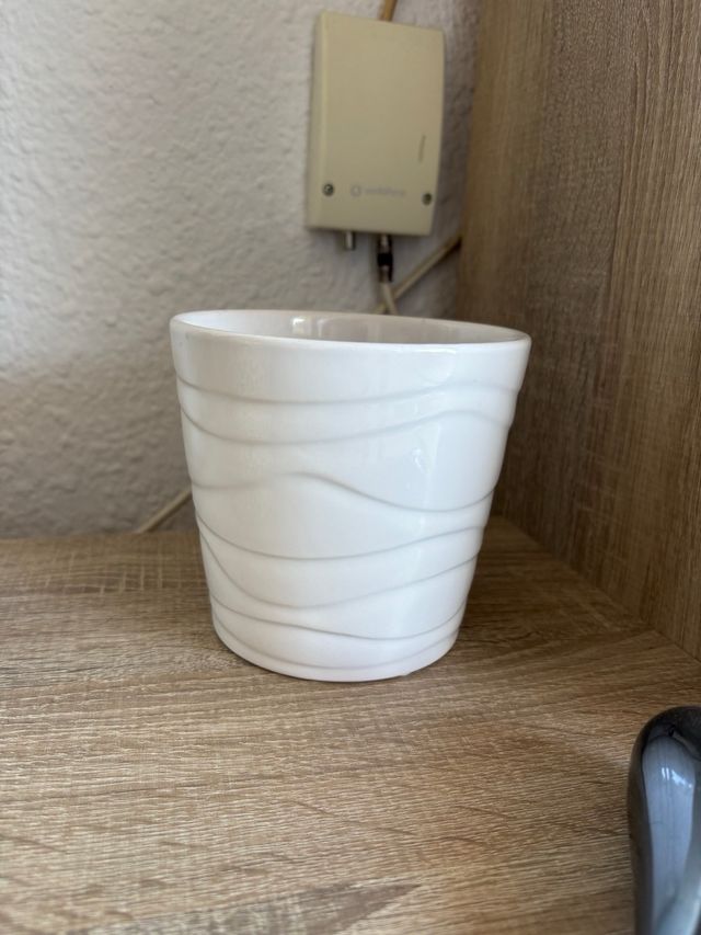 Macetas Decorativas Leopardo Oro y Blanco