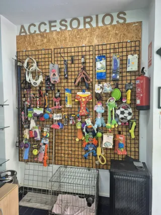Accesorios para animales por cese de negocio