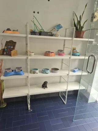 Accesorios para animales por cese de negocio