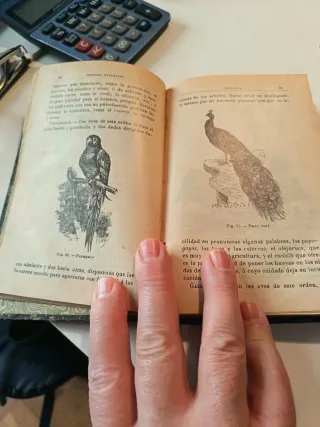 Las Ciencias Naturales al Alcance de los Niños