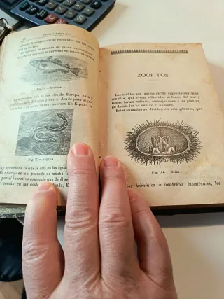 Las Ciencias Naturales al Alcance de los Niños