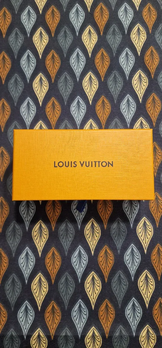 Caja Louis Vuitton naranja para gafas