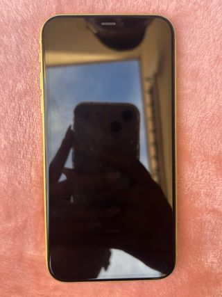 iPhone 11 Giallo