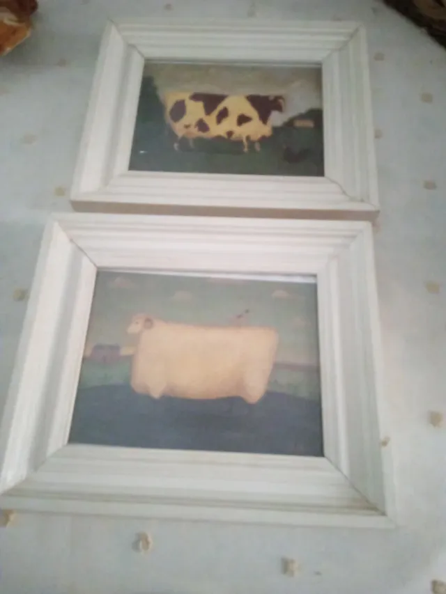 Cuadros de animales con marco de madera