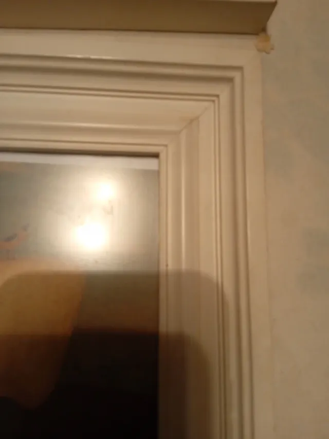 Cuadros de animales con marco de madera