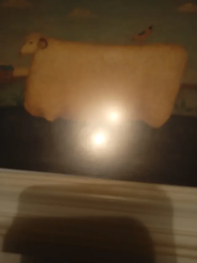 Cuadros de animales con marco de madera